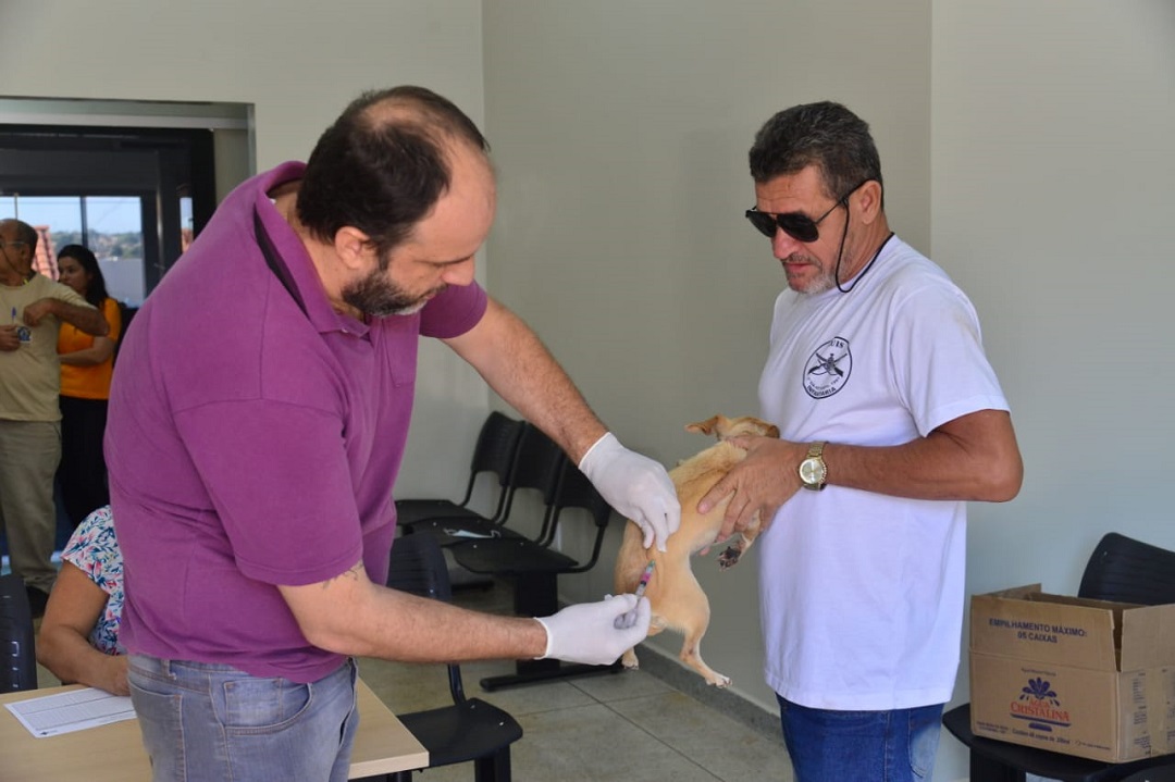 Prefeitura Municipal de Aparecida de Goiânia Cães e gatos de