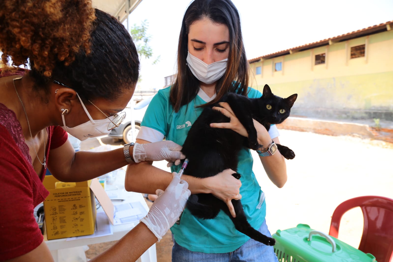 Campanha de Vacinação Antirrábica de Aparecida prevê imunizar mais de 70 mil cães e gatos