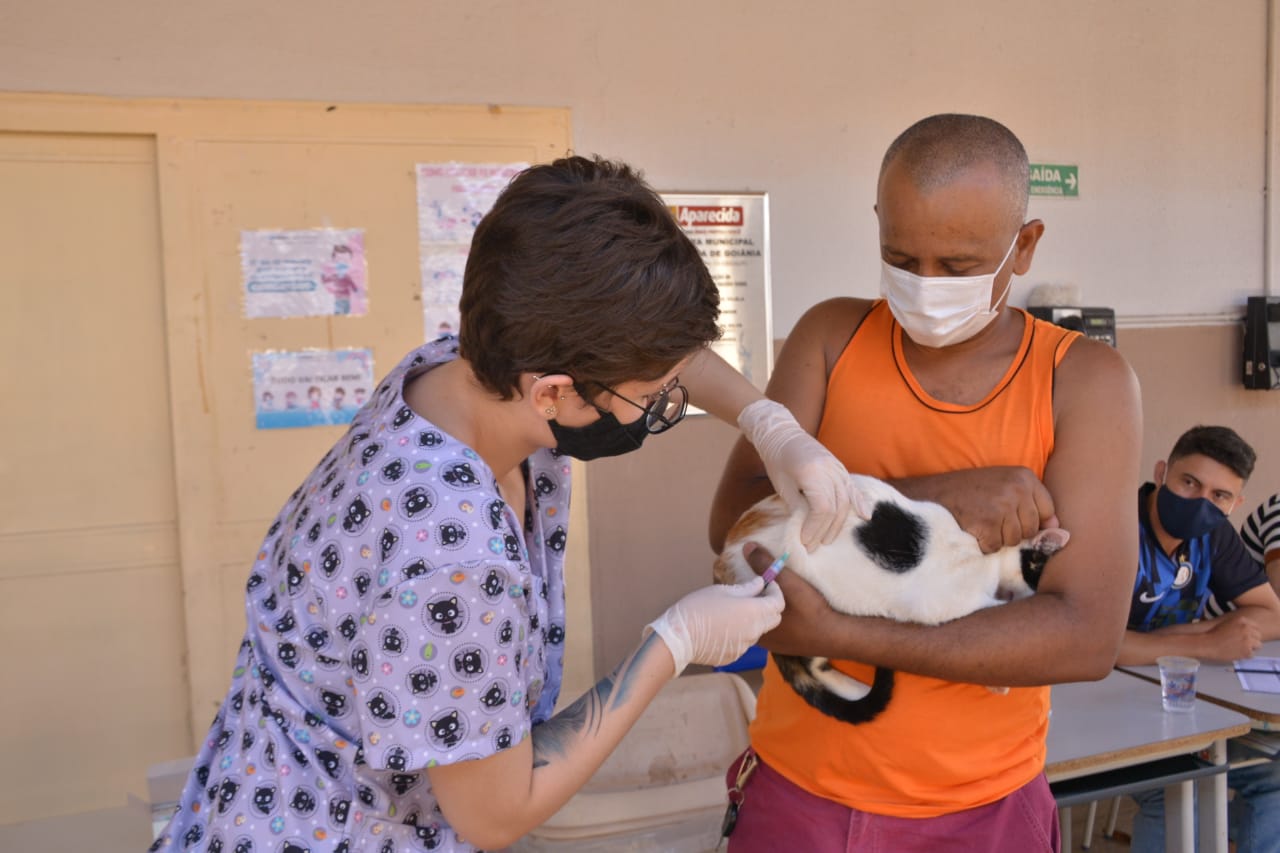Saúde de Aparecida realiza Dia D da Vacinação Antirrábica em 51 postos