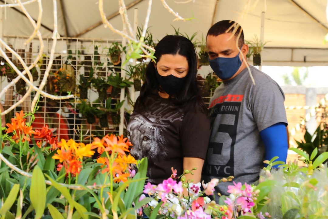 Primavera em Aparecida inicia com exposição de orquídeas e rosas do deserto