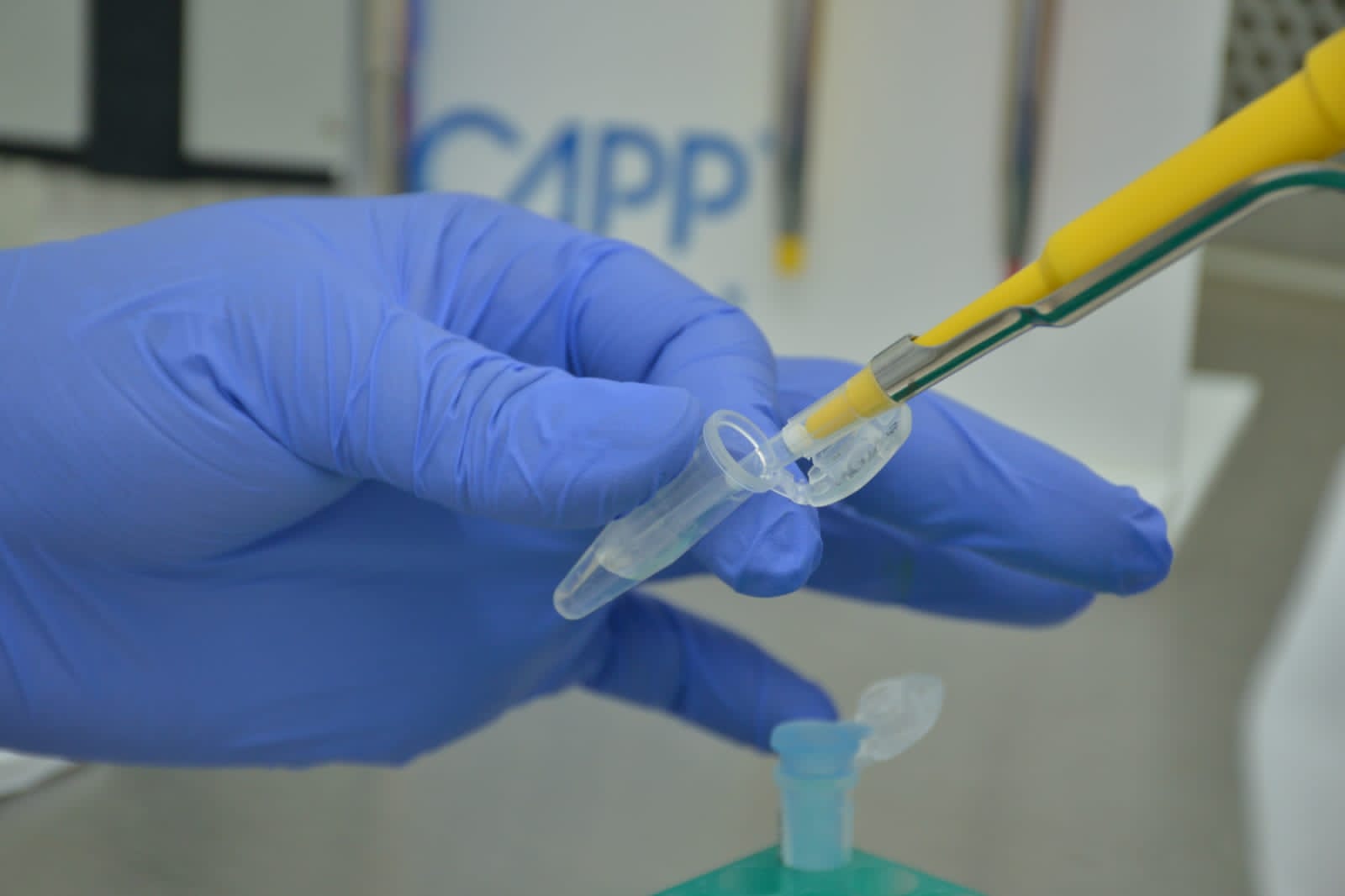 Sequenciamento genômico de Aparecida confirma primeiro óbito pela variante ômicron
