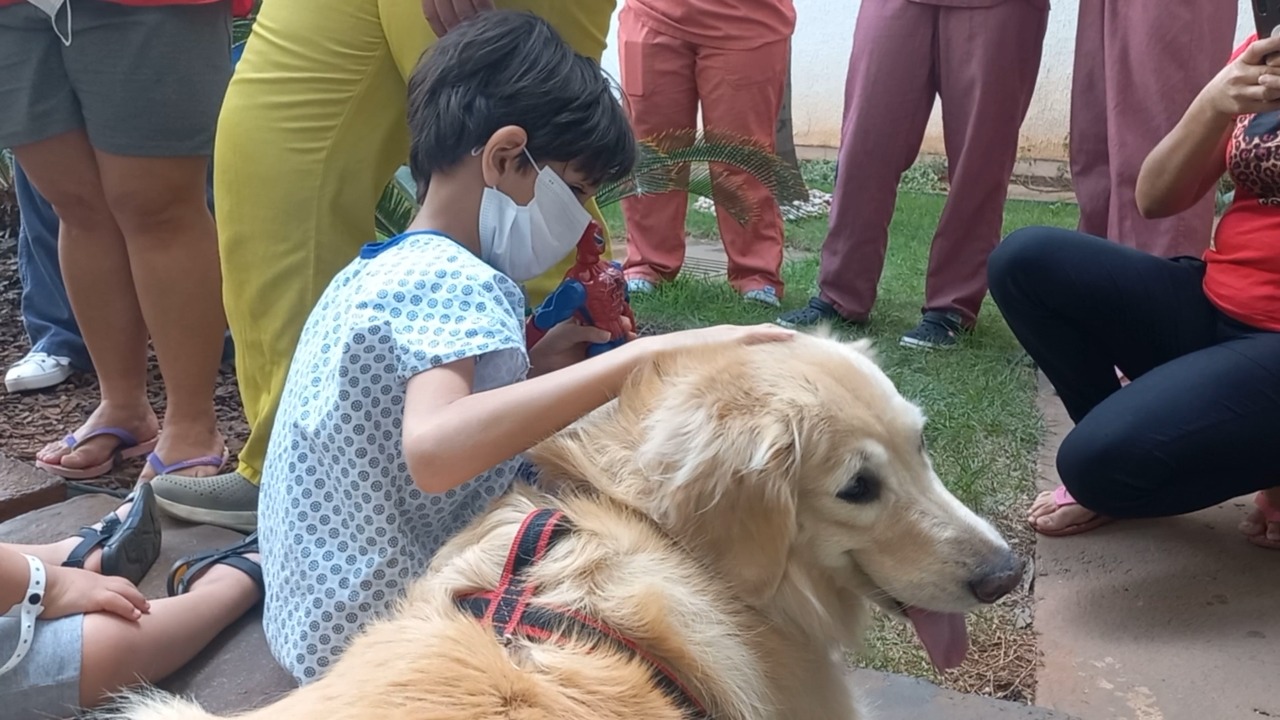 Pacientes e servidores do HMAP são visitados por cães do programa Terapia Assistida por Animais