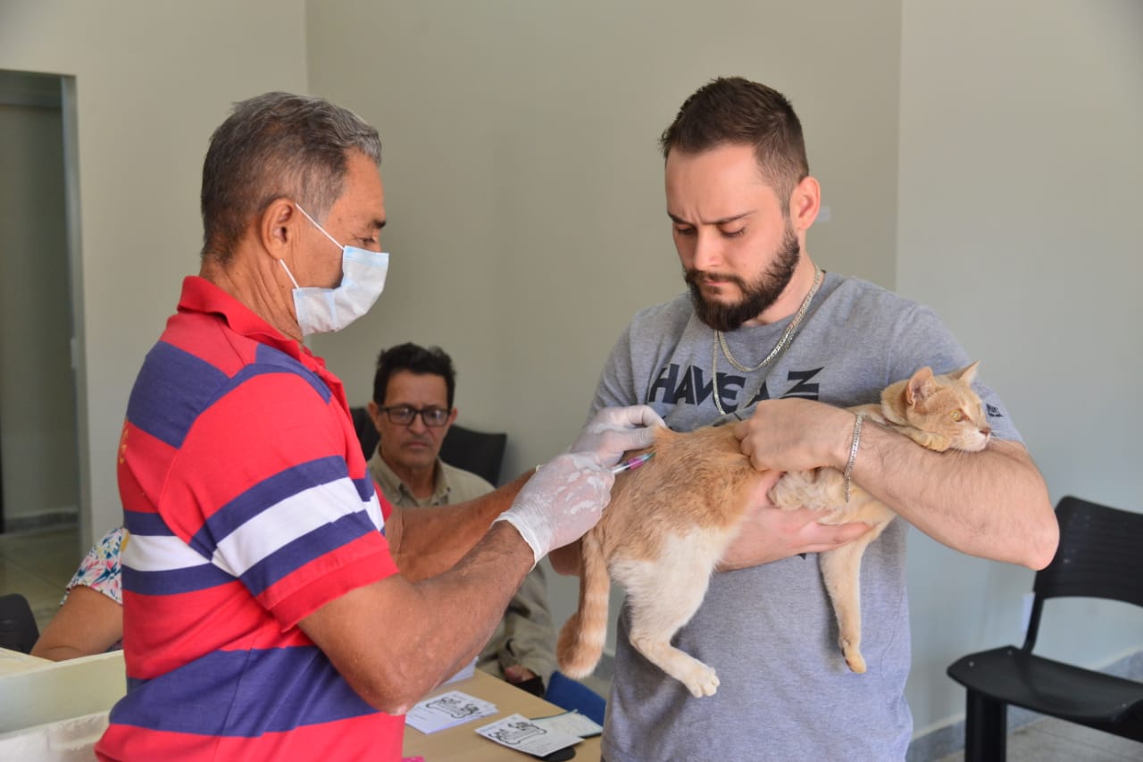 Vacinação antirrábica imuniza cães e gatos de Aparecida neste sábado, 10