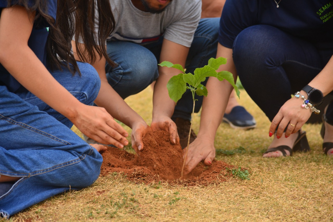 Aparecida realizada Virada Ambiental nesta quinta-feira, 07