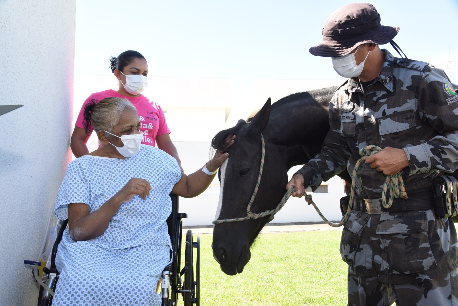 Pacientes do HMAP recebem nova visita de cavalos no projeto Terapia Assistida com Animais