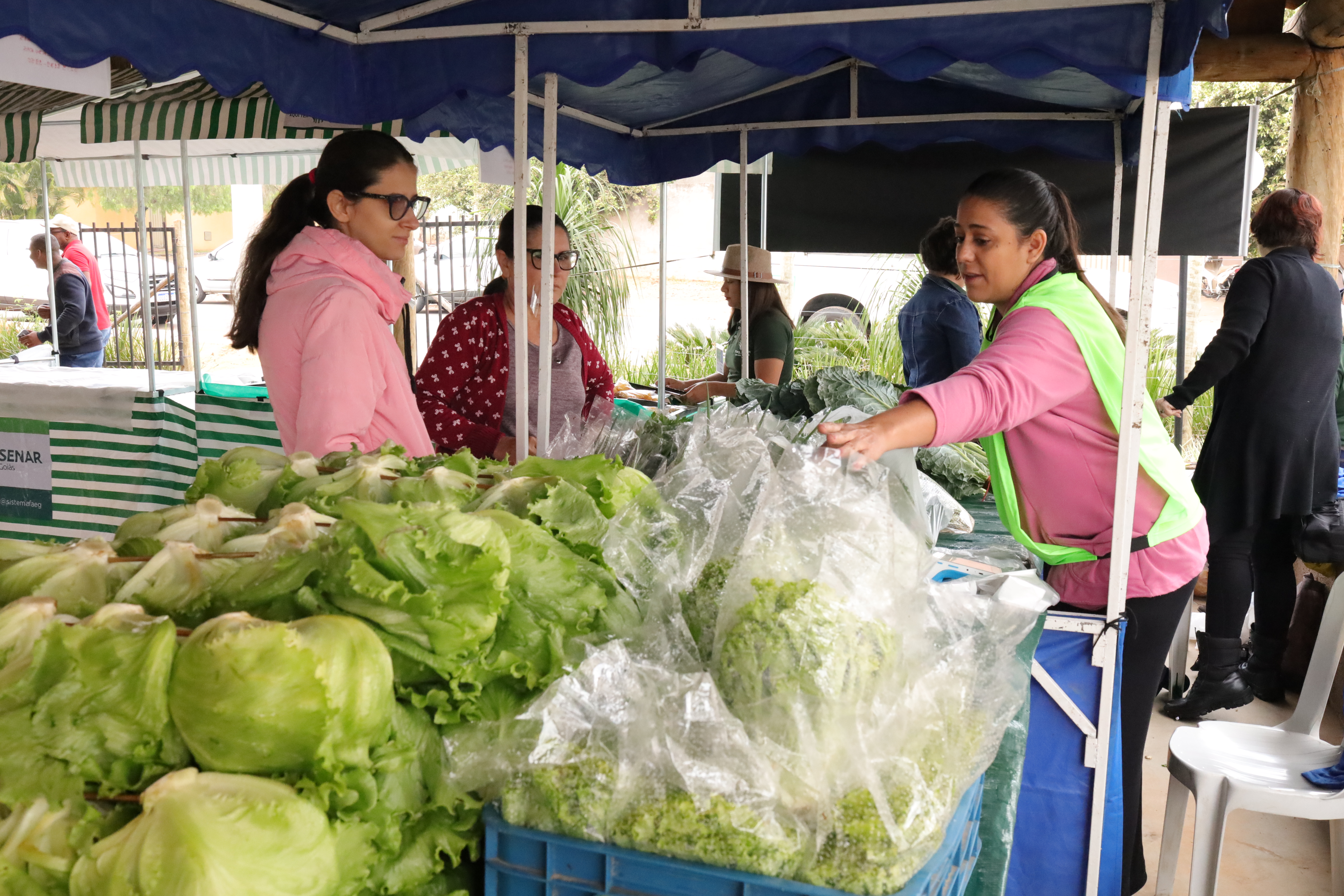 Feira com produtos da agricultura familiar será neste domingo em Aparecida