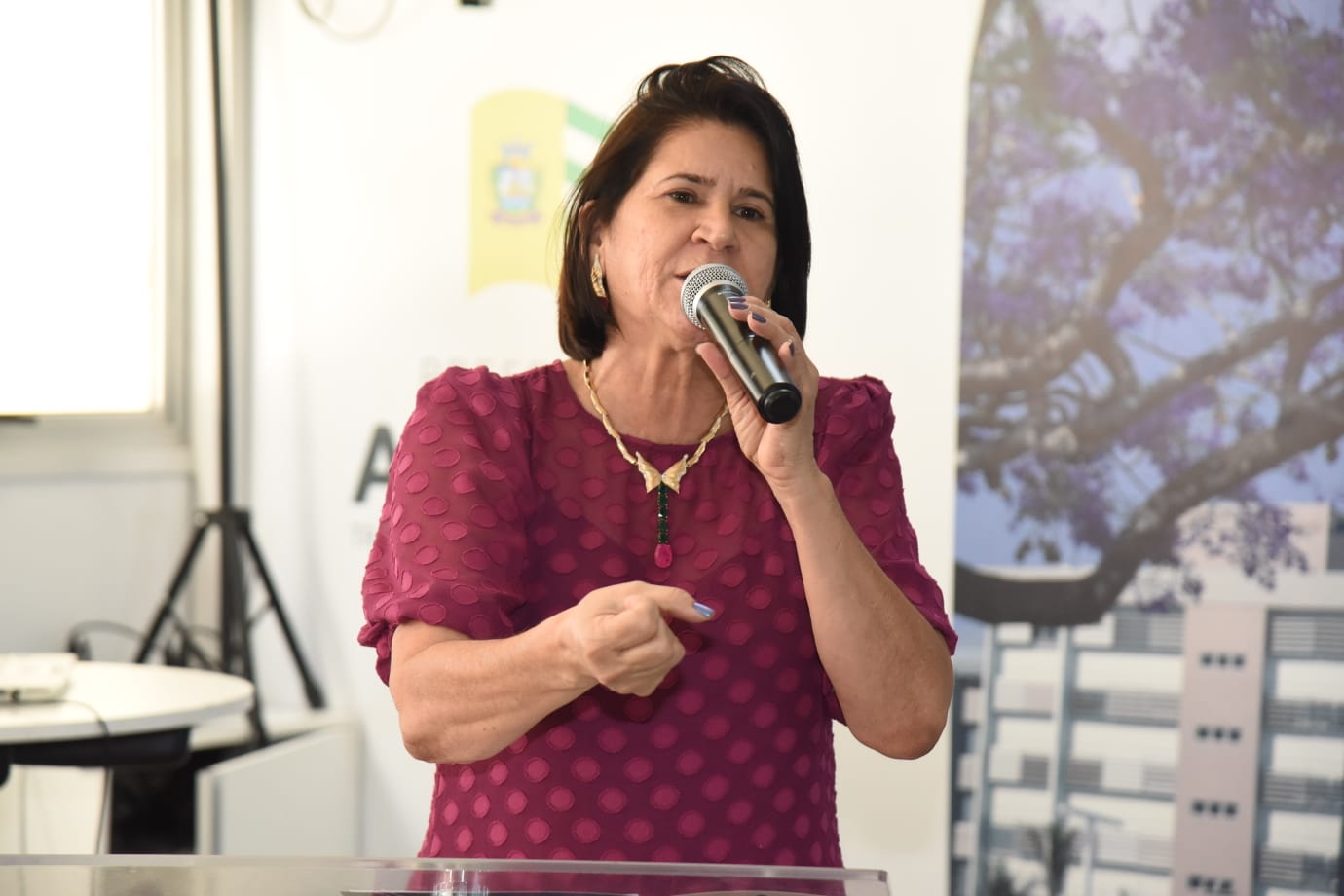 Educação de Aparecida lança projeto em memória às vítimas do Holocausto