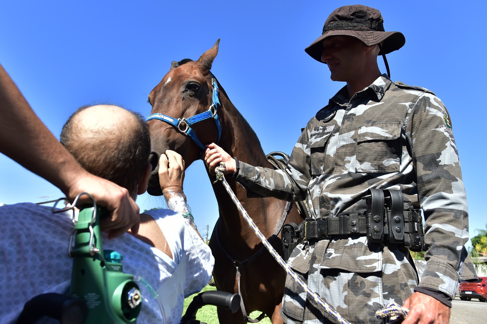 Pacientes do HMAP recebem visita de cavalos do Terapia Assistida