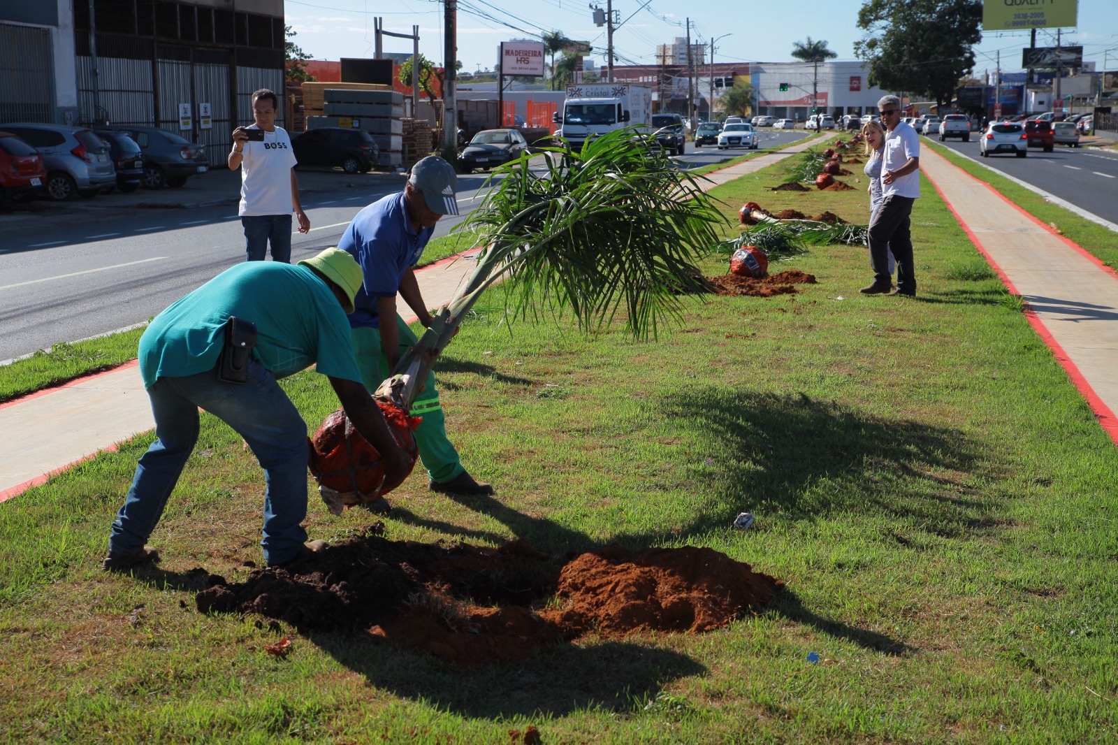Revitalização da Rio Verde entra na fase final com últimos retoques no paisagismo