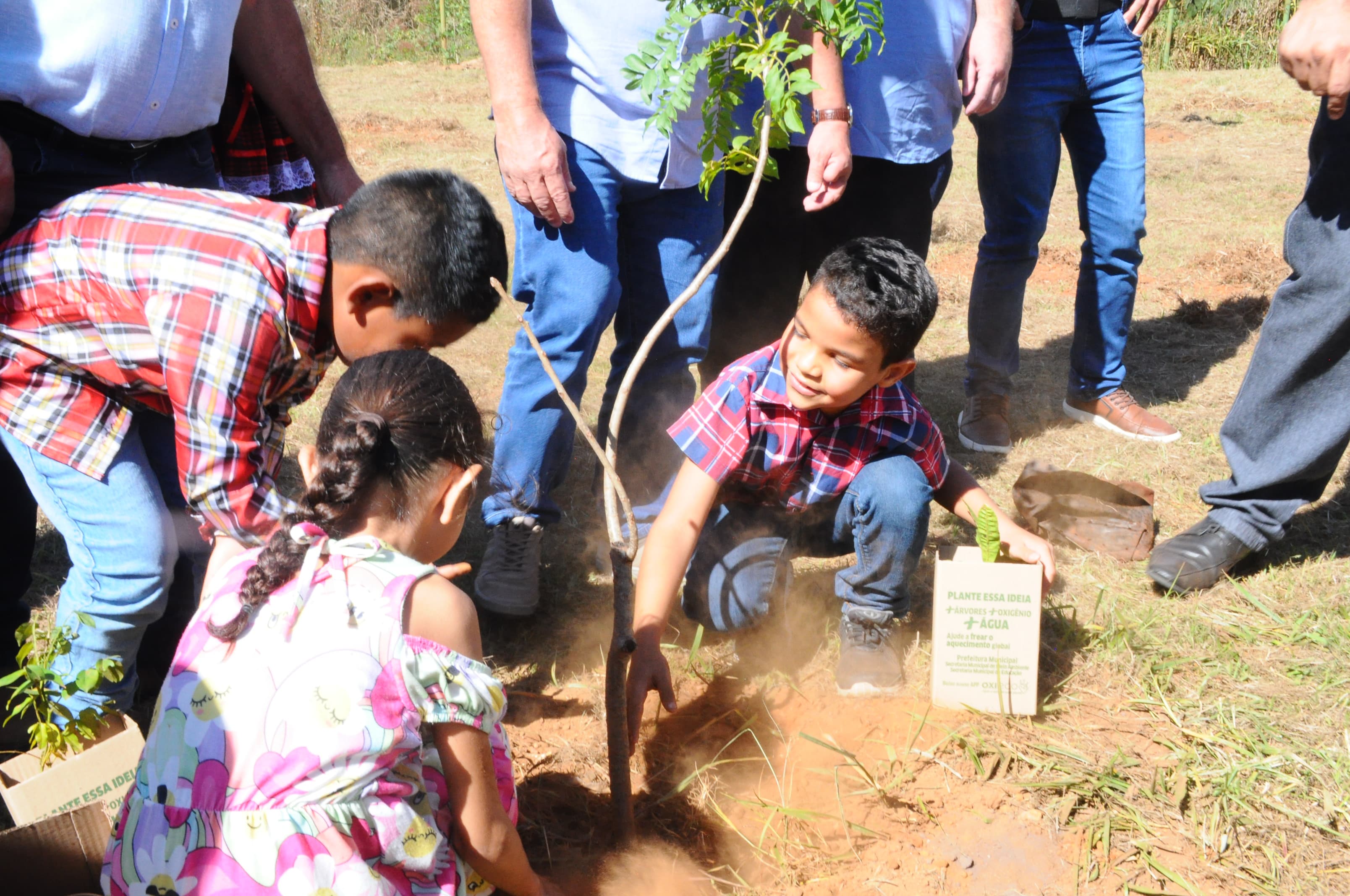 EMEI Monteiro Lobato inaugura pomar em agrofloresta para educação ambiental dos alunos