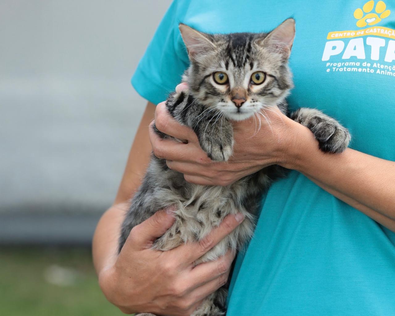 Mutirão de Aparecida terá feira de adoção de animais e triagem para castração de pets