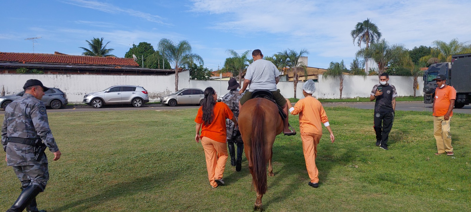 Projeto com cavalos da PM leva humanização e cuidado emocional ao HMAP