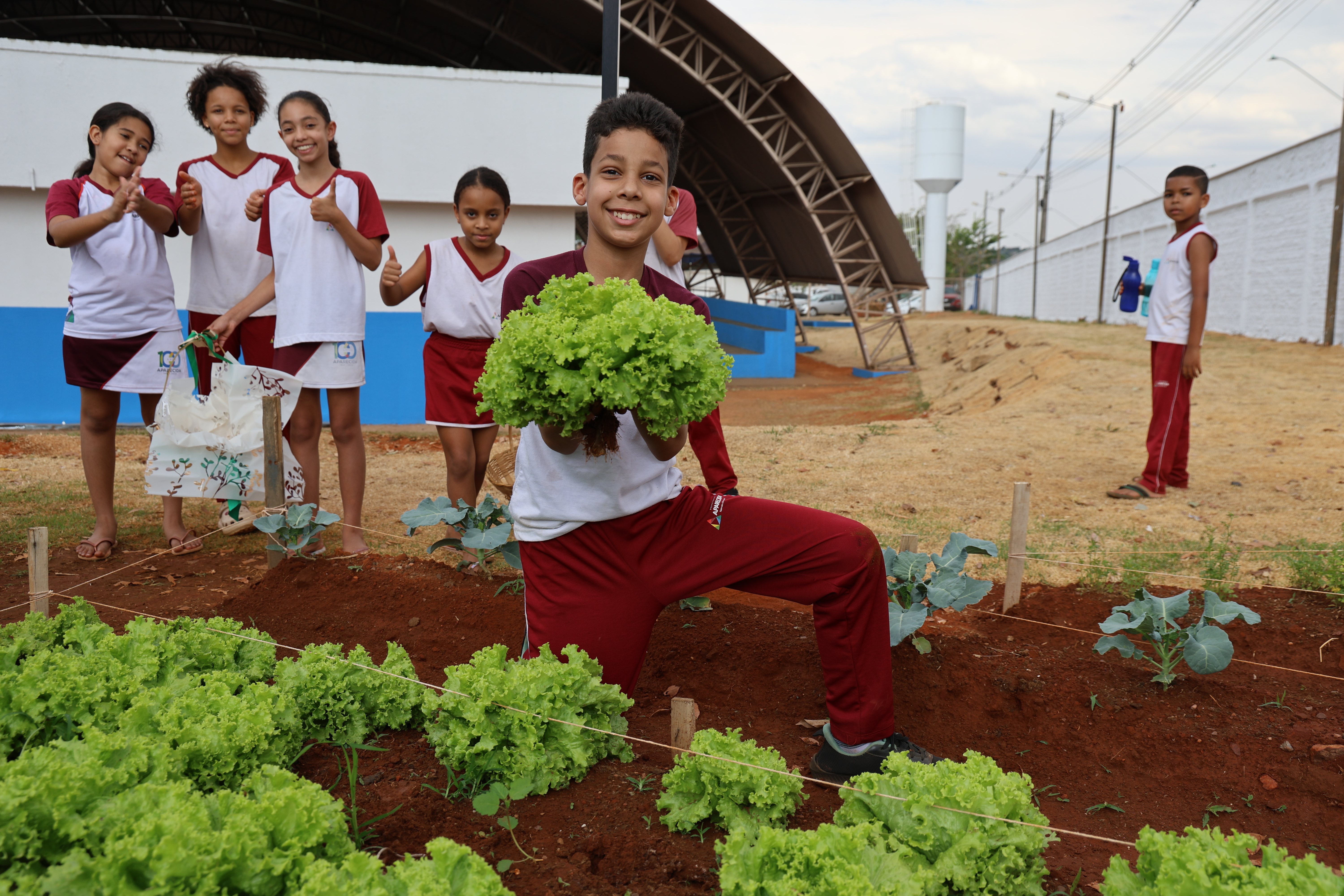 Crianças e comunidade escolar celebram primeira colheita do Projeto Agricultura Urbana