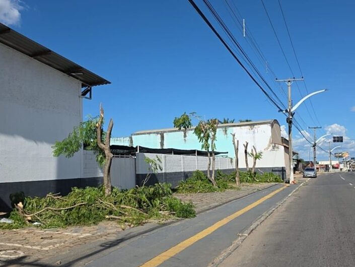SEMMA e GCM apreendem caminhões da Equatorial usados na mutilação de árvores em Aparecida