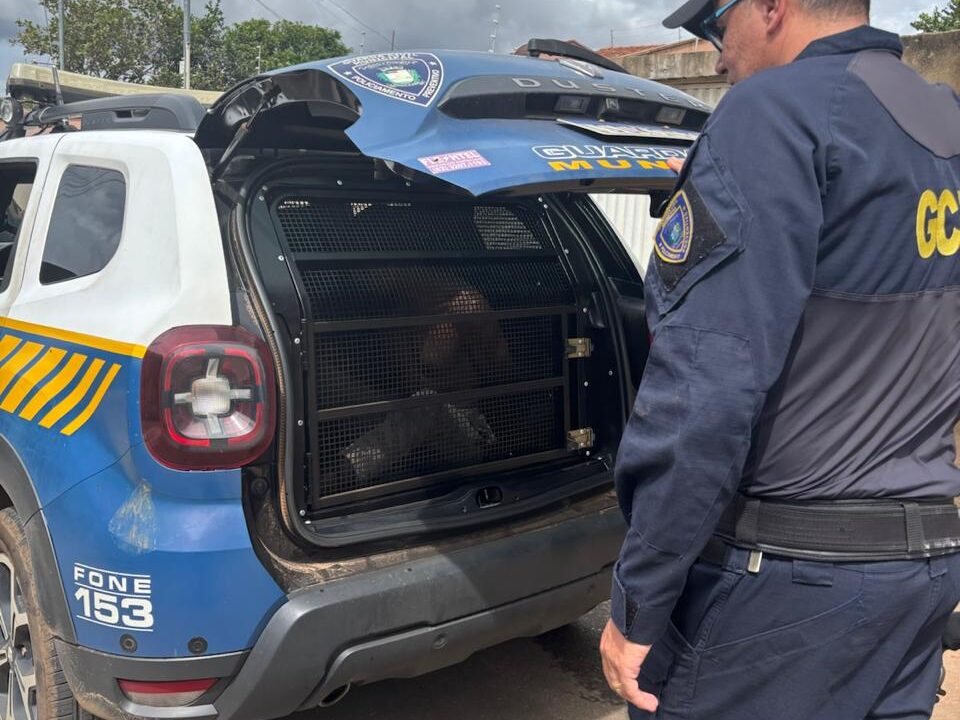 GCM prende homem em flagrante por cárcere privado e violência doméstica