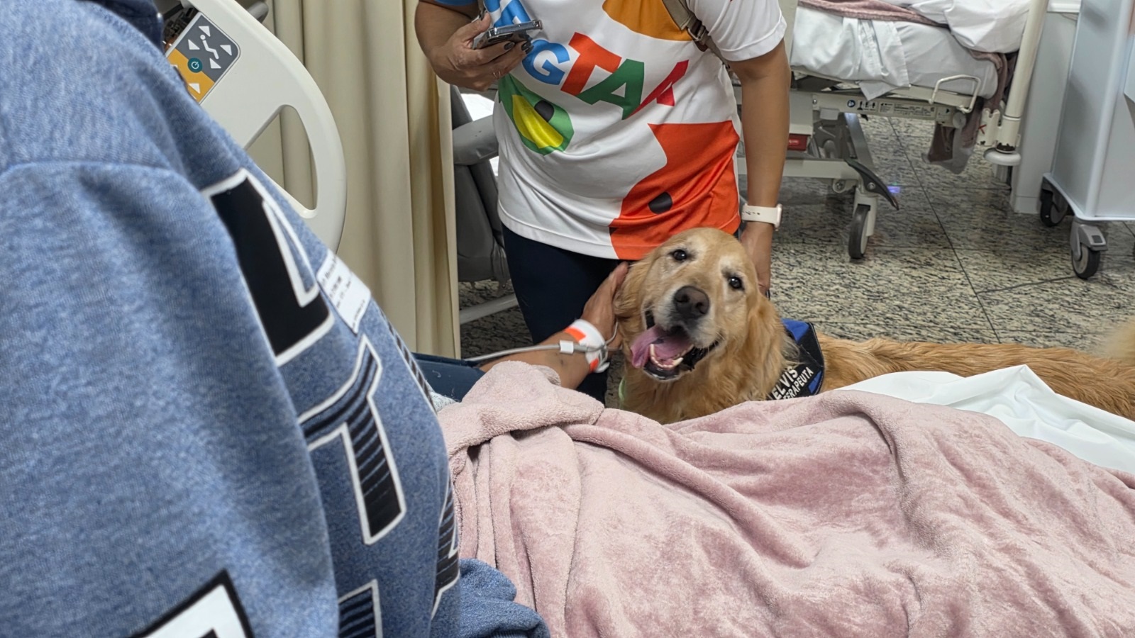 Afeto que cura: HMAP aposta em terapia com cães para humanizar a internação