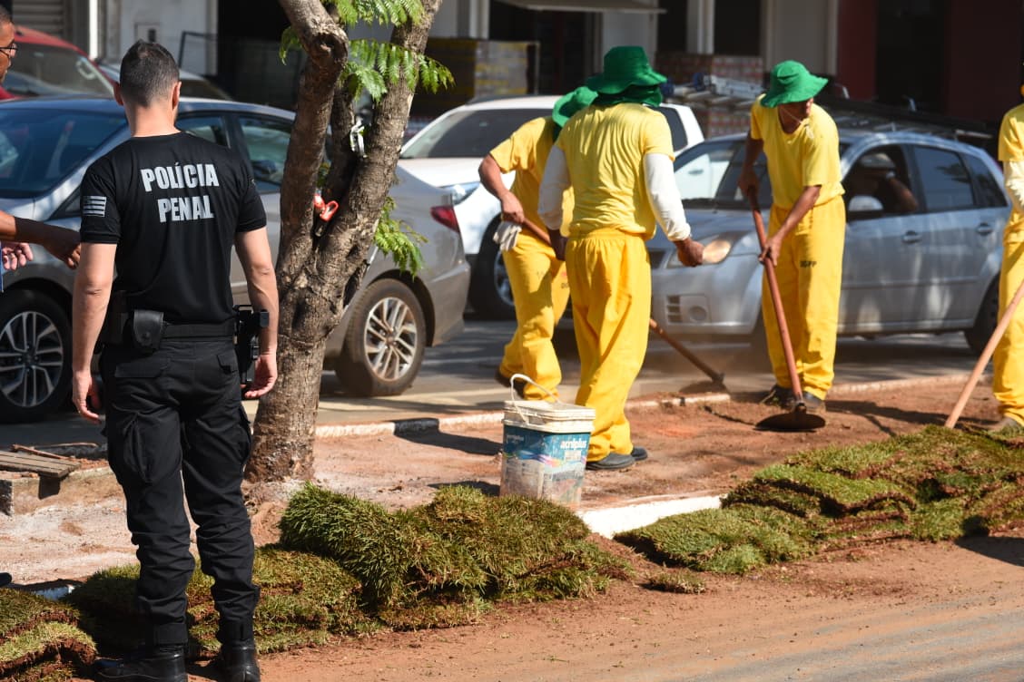 Prefeitura de Aparecida amplia paisagismo de 20 avenidas com mão de obra de reeducandos do sistema prisional